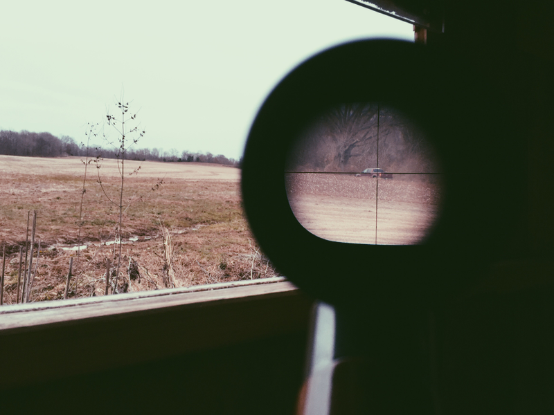 Illustration for article titled Through the riflescope